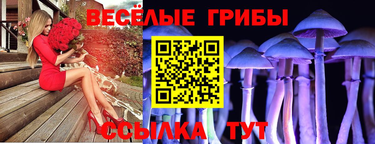 Псилоцибиновые грибы мухоморы  Вход с VPN  Псилоцибиновые грибы ЛСД  Кашира 